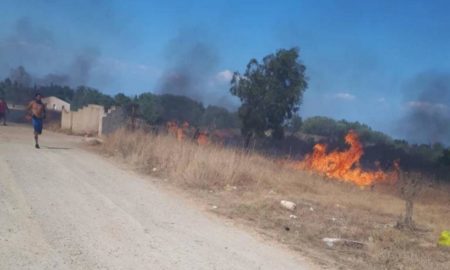 Έβρος: Για δεύτερη μέρα η επιχείρηση κατάσβεσης της φωτιάς στη Λευκίμμη