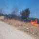 Έβρος: Για δεύτερη μέρα η επιχείρηση κατάσβεσης της φωτιάς στη Λευκίμμη