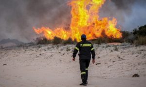 Πυρκαγιά στα Μέγαρα Αττικής: H Πυροσβεστική στον αγώνα κατάσβεσης της φωτιάς