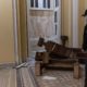 Επεισόδια στο Καπιτώλιο: Ένας αστυνομικός ο πέμπτος νεκρός από τις συγκρούσεις με οπαδούς του Τραμπ