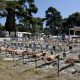 Καιρός Πάσχα: Σχεδόν καλοκαίρι με θερμοκρασία στους 30 βαθμούς